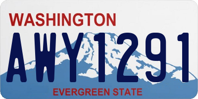 WA license plate AWY1291
