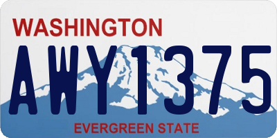 WA license plate AWY1375