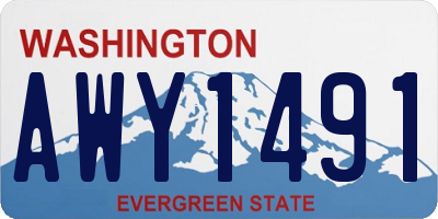 WA license plate AWY1491