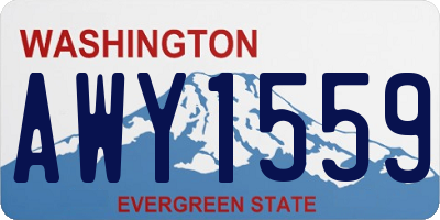 WA license plate AWY1559
