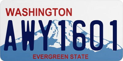 WA license plate AWY1601