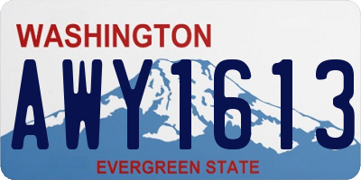 WA license plate AWY1613