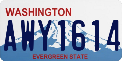 WA license plate AWY1614