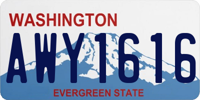 WA license plate AWY1616