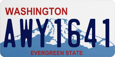 WA license plate AWY1641