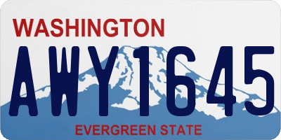 WA license plate AWY1645