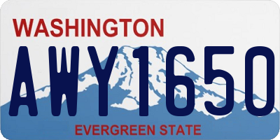 WA license plate AWY1650