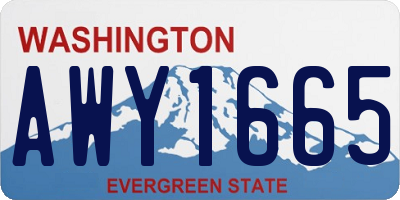 WA license plate AWY1665