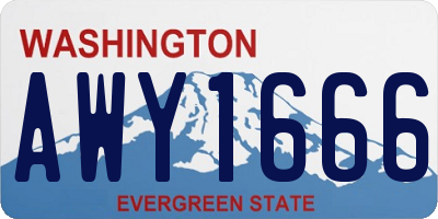 WA license plate AWY1666
