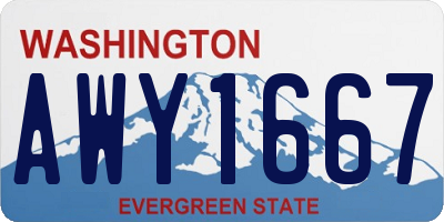 WA license plate AWY1667