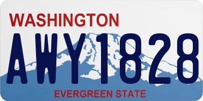 WA license plate AWY1828