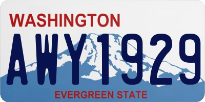 WA license plate AWY1929