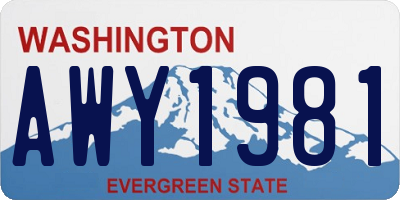 WA license plate AWY1981