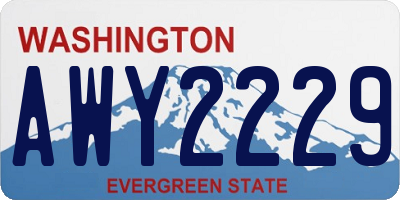 WA license plate AWY2229