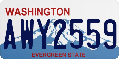 WA license plate AWY2559