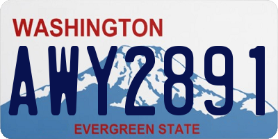 WA license plate AWY2891