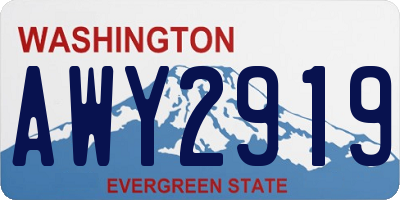WA license plate AWY2919