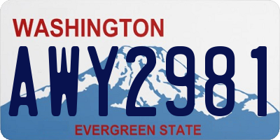 WA license plate AWY2981
