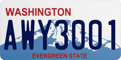 WA license plate AWY3001