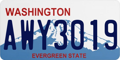 WA license plate AWY3019