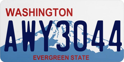 WA license plate AWY3044