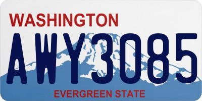 WA license plate AWY3085