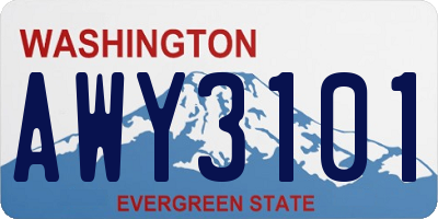 WA license plate AWY3101