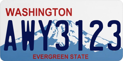 WA license plate AWY3123