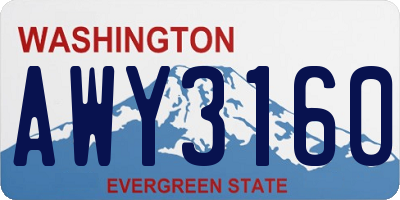 WA license plate AWY3160