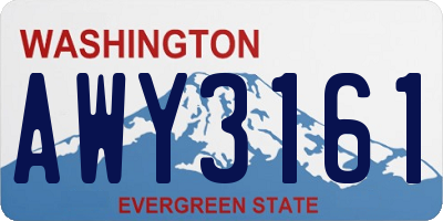 WA license plate AWY3161