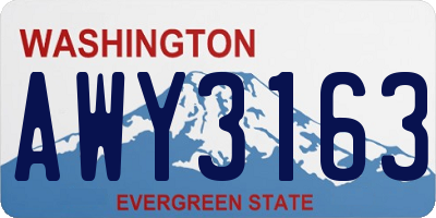 WA license plate AWY3163