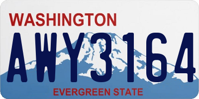 WA license plate AWY3164