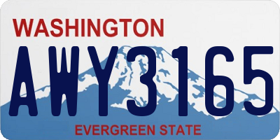 WA license plate AWY3165