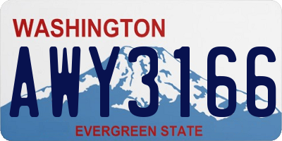 WA license plate AWY3166