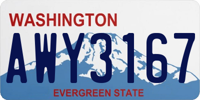 WA license plate AWY3167