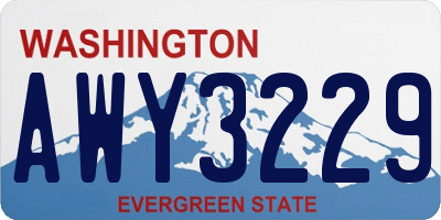 WA license plate AWY3229