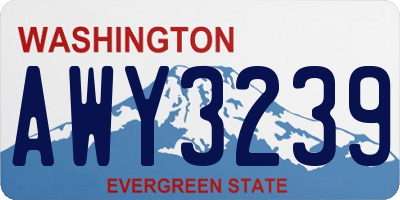 WA license plate AWY3239