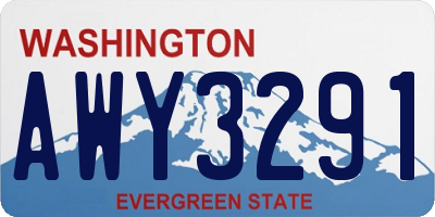 WA license plate AWY3291