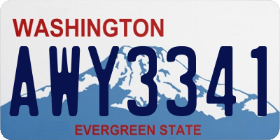WA license plate AWY3341