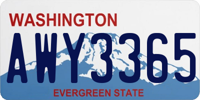 WA license plate AWY3365