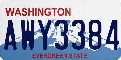 WA license plate AWY3384