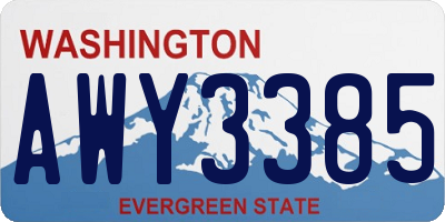 WA license plate AWY3385