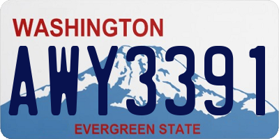 WA license plate AWY3391