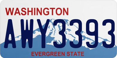 WA license plate AWY3393