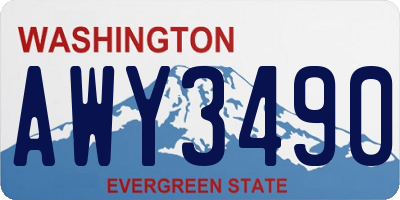 WA license plate AWY3490