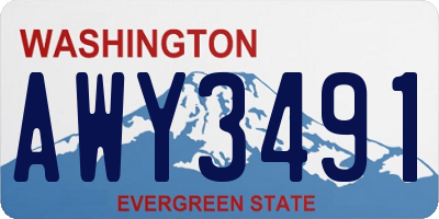 WA license plate AWY3491