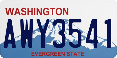 WA license plate AWY3541