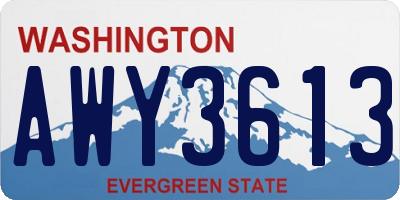 WA license plate AWY3613