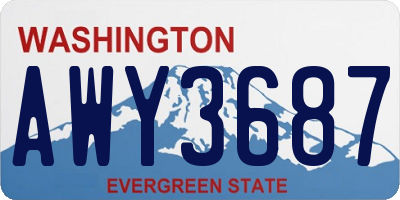 WA license plate AWY3687