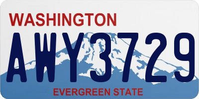 WA license plate AWY3729